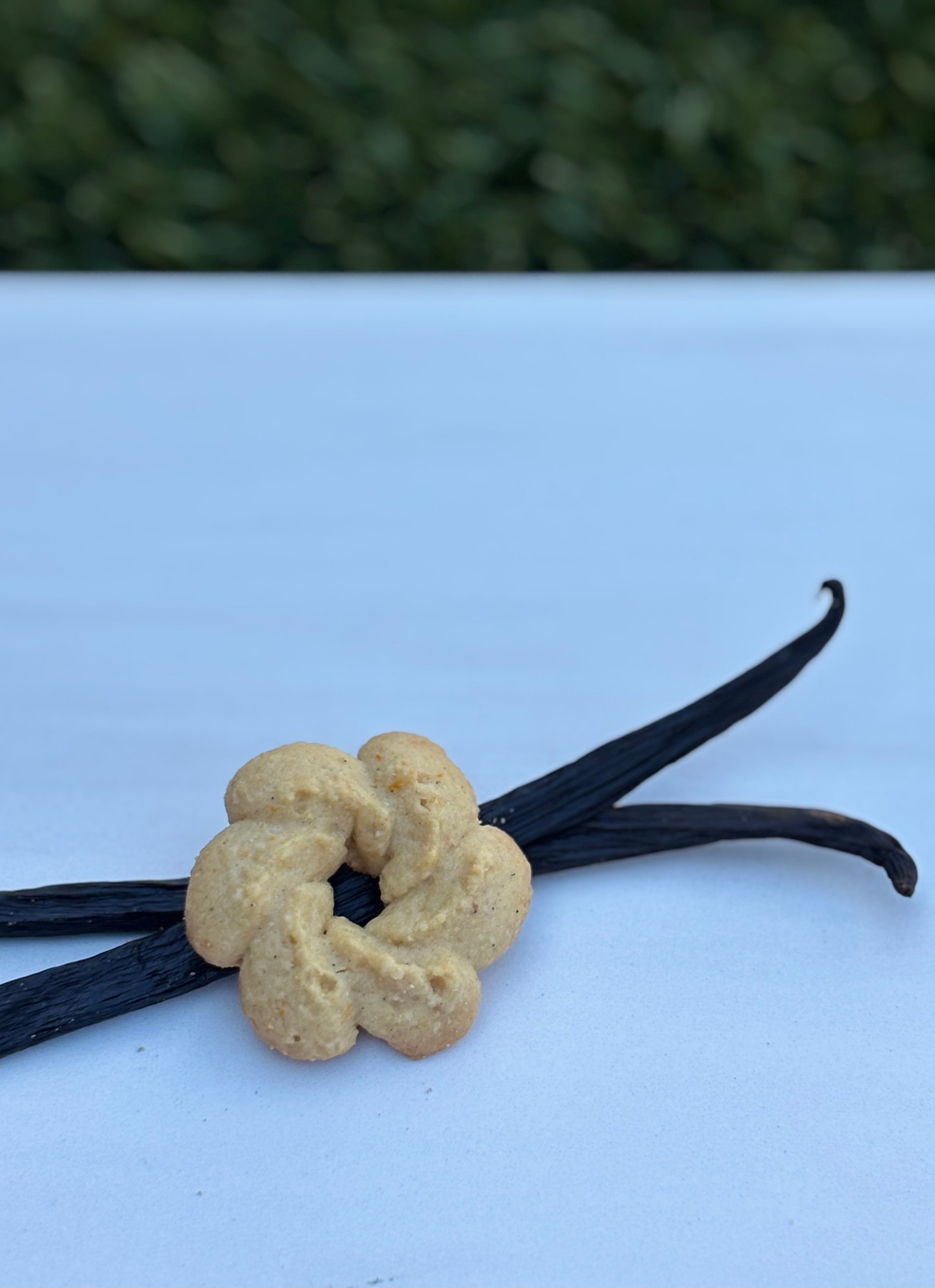 Gluten Free Cookies, Dairy Free Cookies, Corn Free Cokies